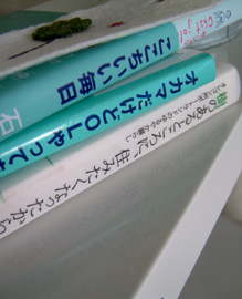 shin070304.jpg