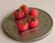 mini2tomato02.jpg